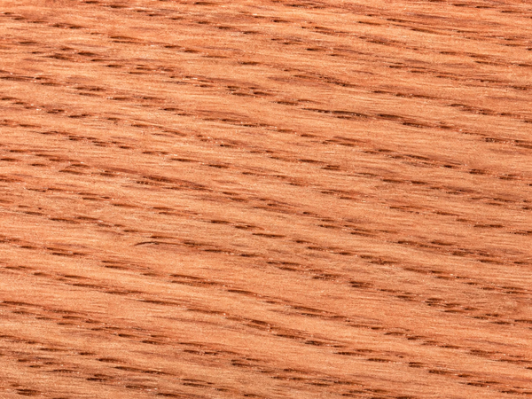 Amerikaans eiken — textuur
