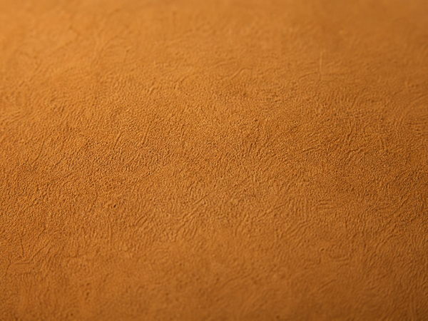 Nubuck leer — textuur